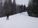 DSCF2915