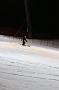 EOS_2010_01_28_5892